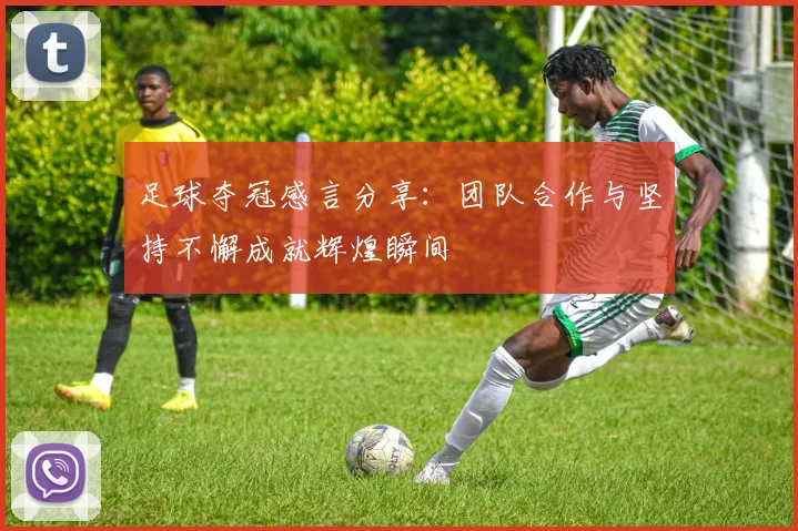 足球夺冠感言分享：团队合作与坚持不懈成就辉煌瞬间