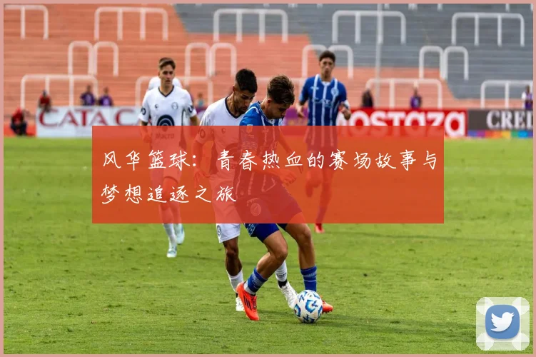 风华篮球：青春热血的赛场故事与梦想追逐之旅