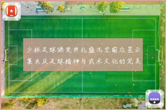 少林足球颁奖典礼盛况空前众星云集共庆足球精神与武术文化的完美结合