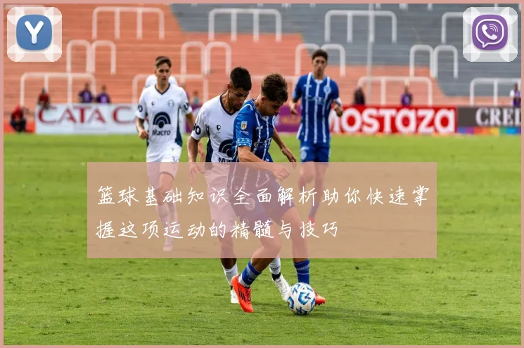 篮球基础知识全面解析助你快速掌握这项运动的精髓与技巧