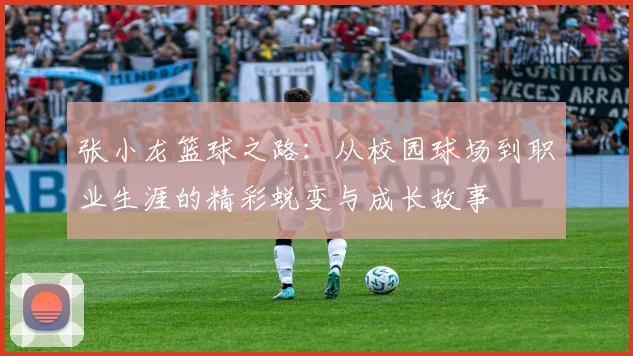 张小龙篮球之路：从校园球场到职业生涯的精彩蜕变与成长故事